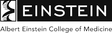 Albert Einstein College of Medicine